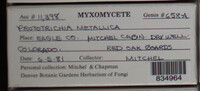 Image Associated With the Occurence